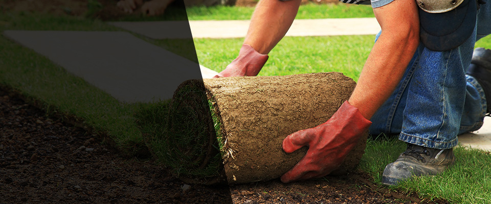 Virginia Landscapers